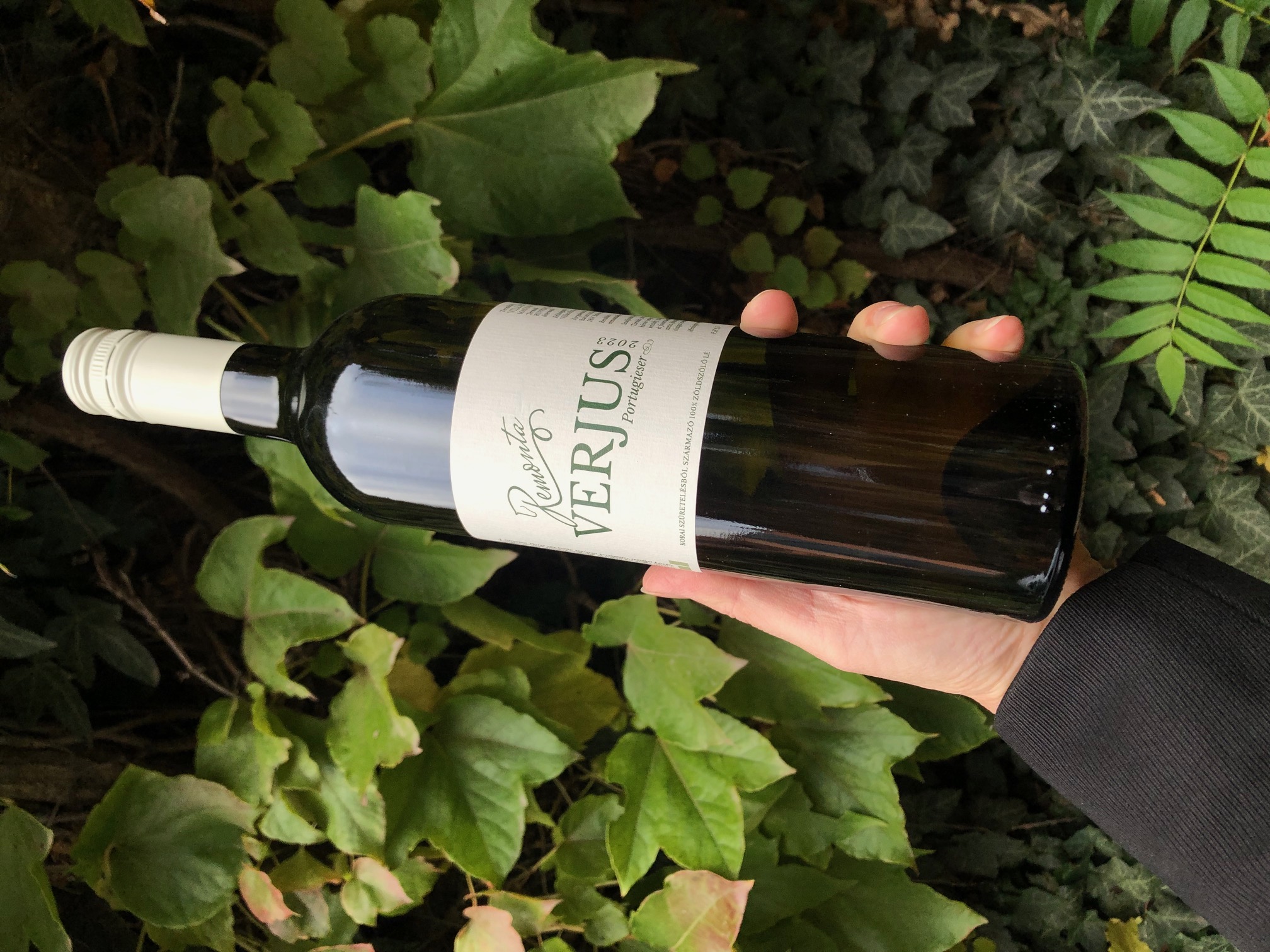 REMONTA VERJUS 0,75 L