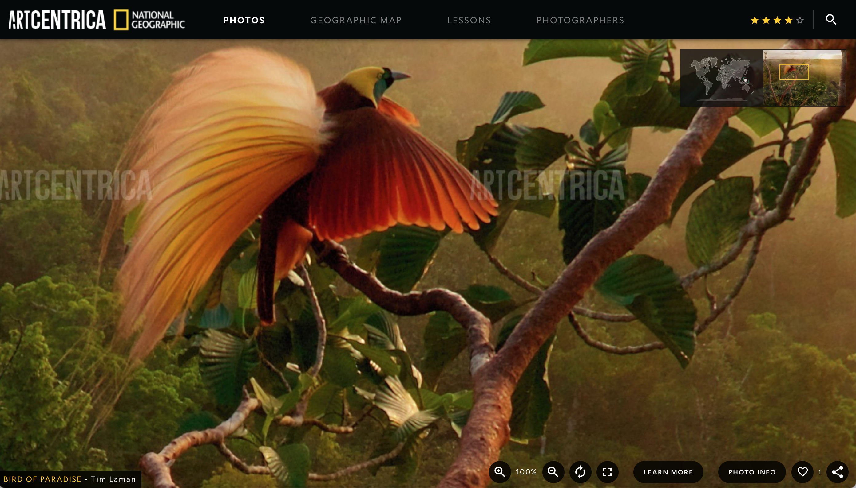 The Greatest Wildlife Photographs