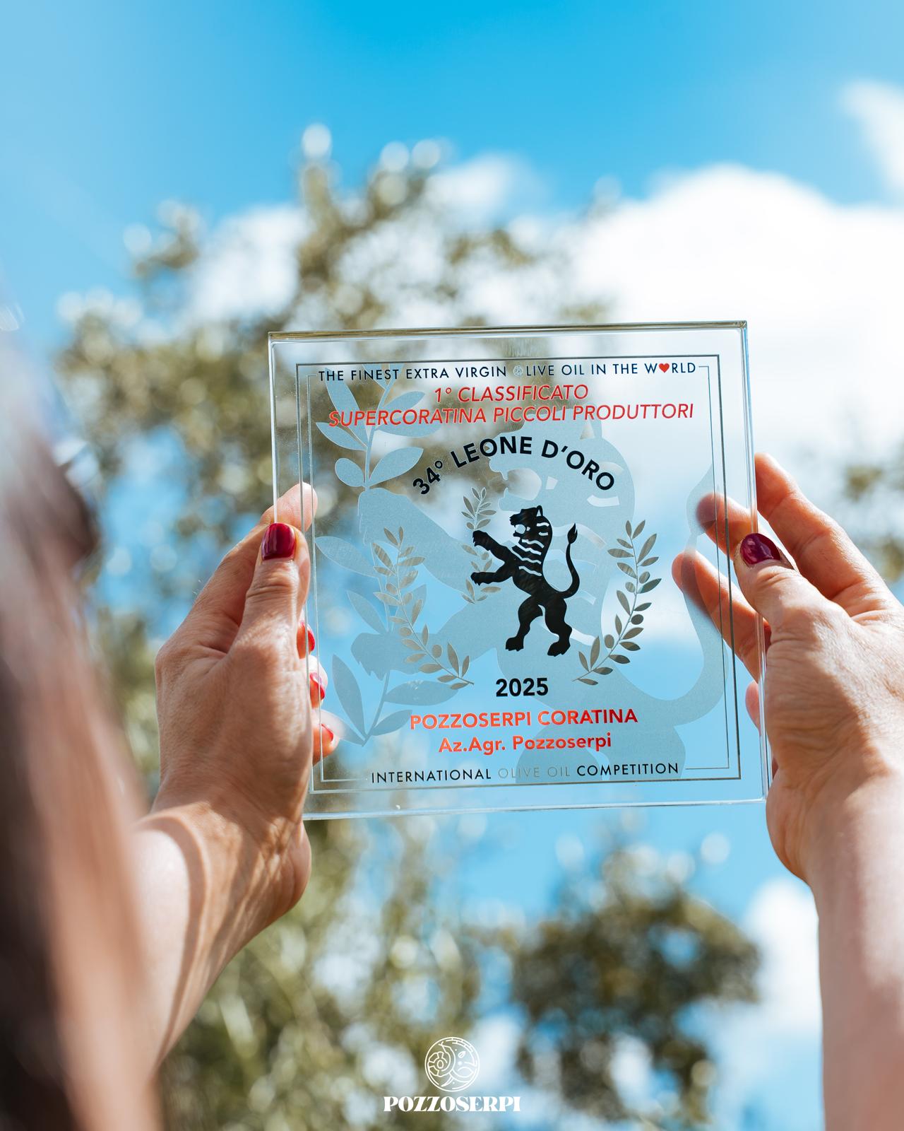 Premio Leone D 'oro