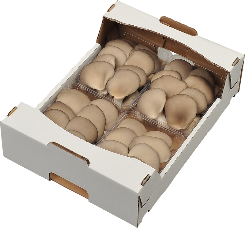trimmed oyster mushroom
