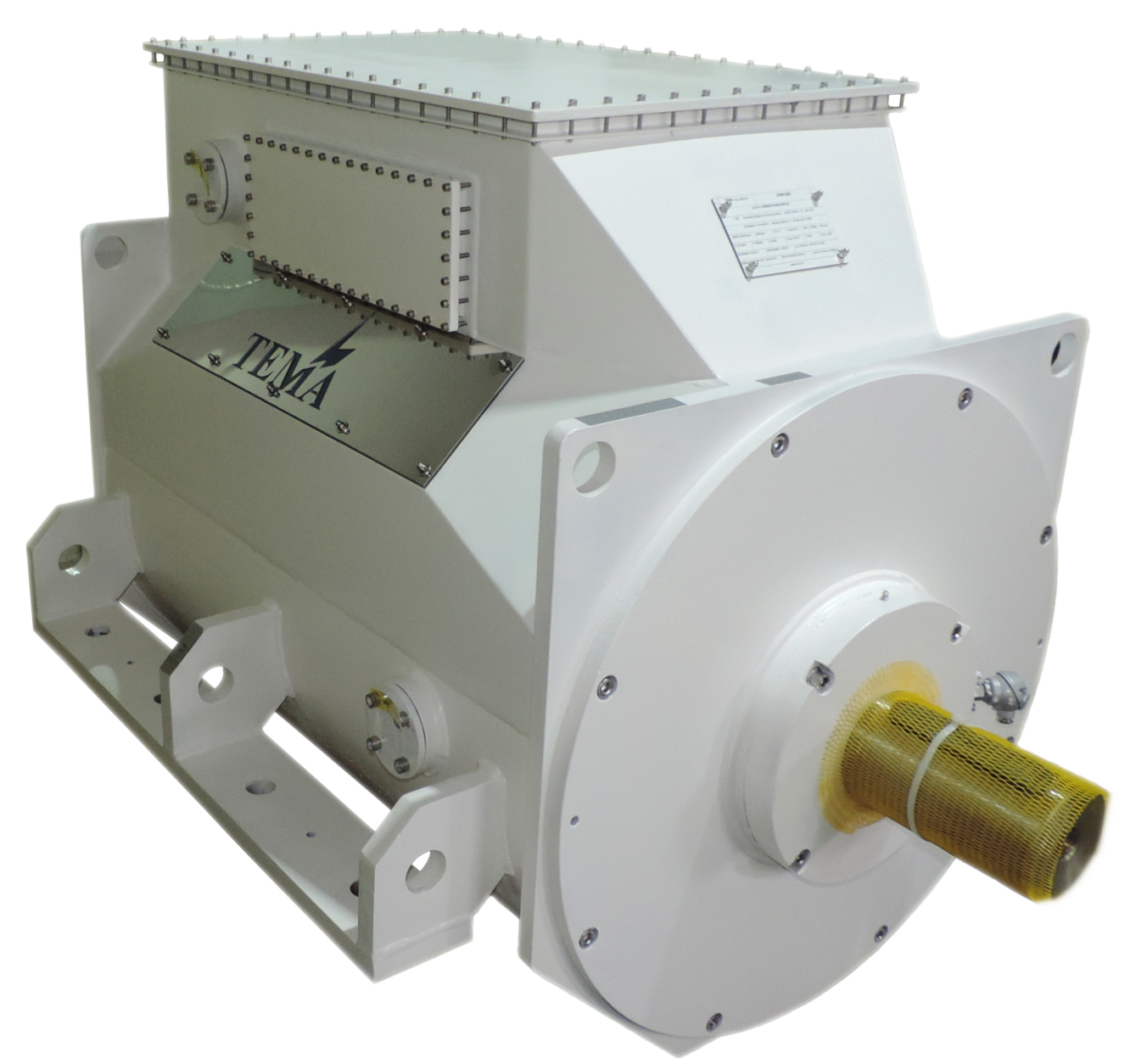 Heavy duty marine propulsion electric motor
