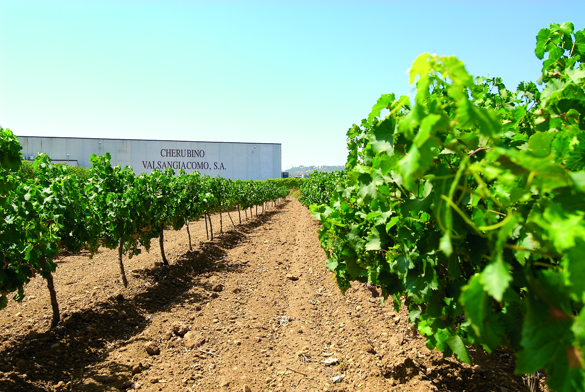 Chiva winery, one of the Valsangiacomo family wineries