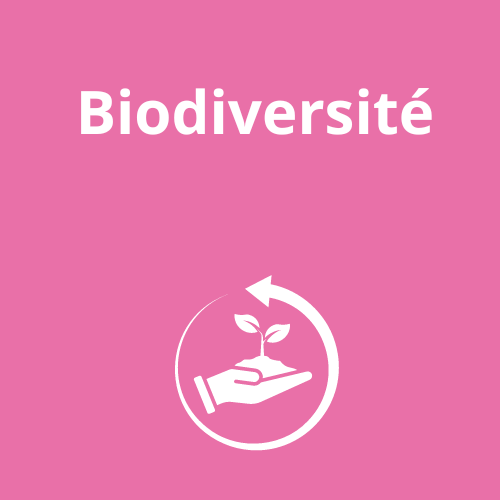 Détail atelier biodiversité