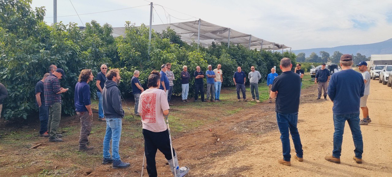 Avocado Growers Field Tour