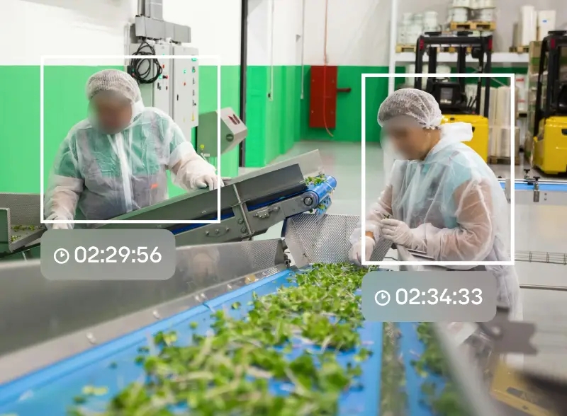 Peak - Productividad