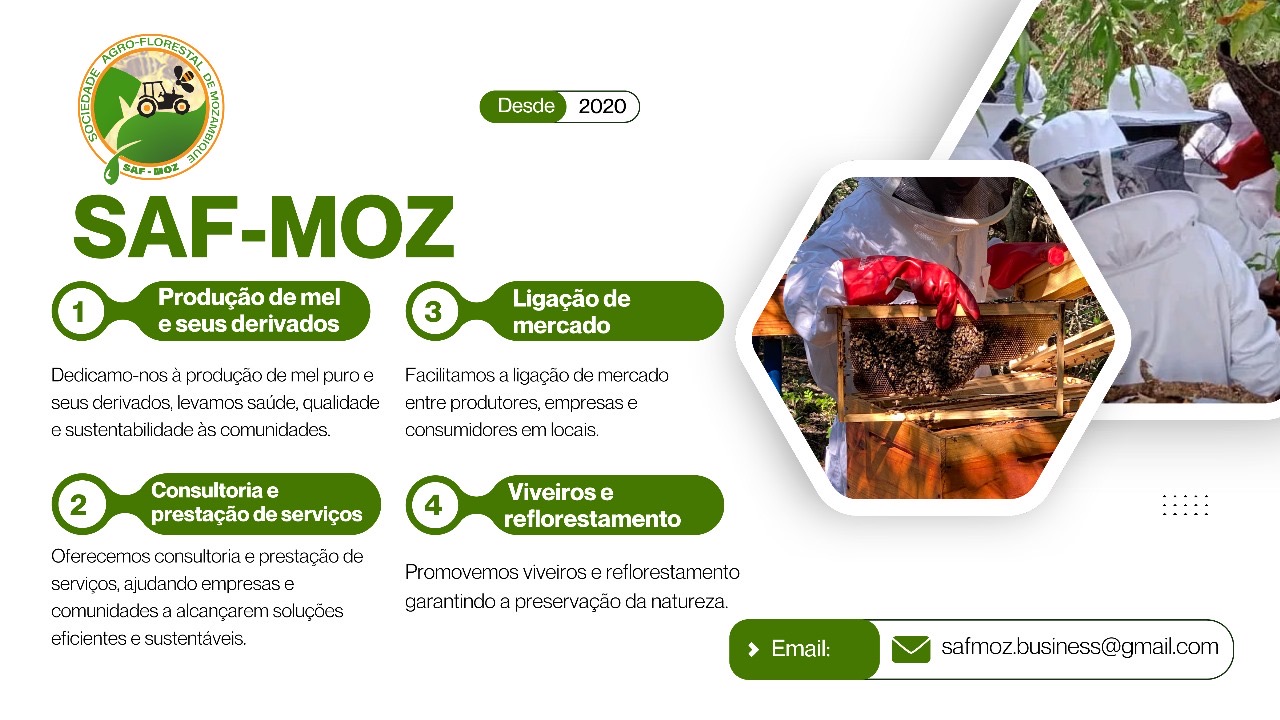 Serviços
