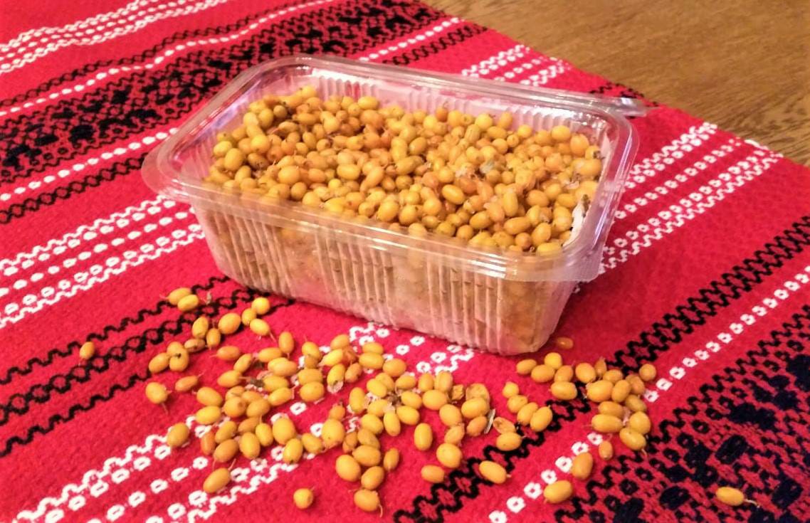 SBTfruits