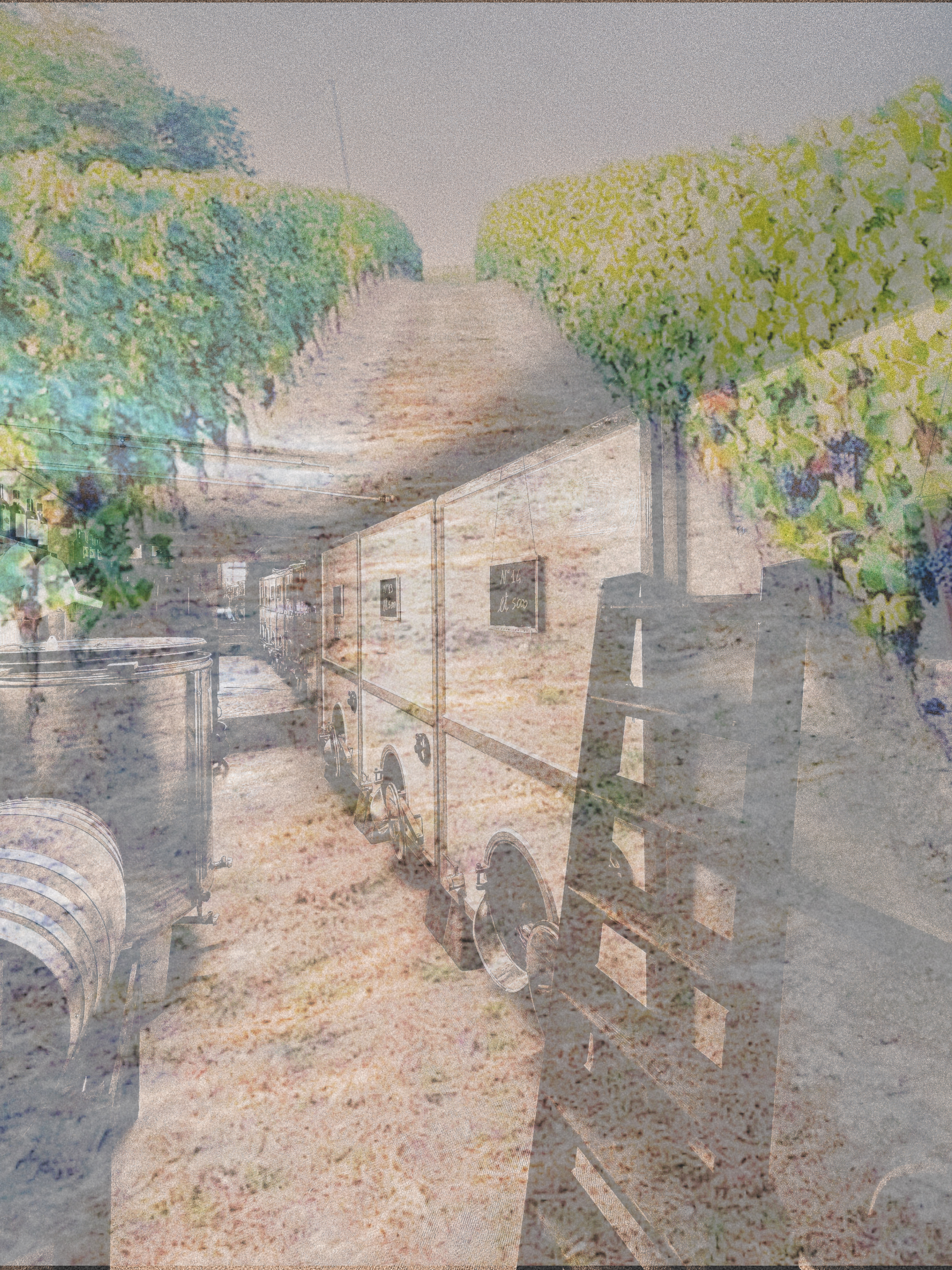 Rainbow tour - Wine&Welcome