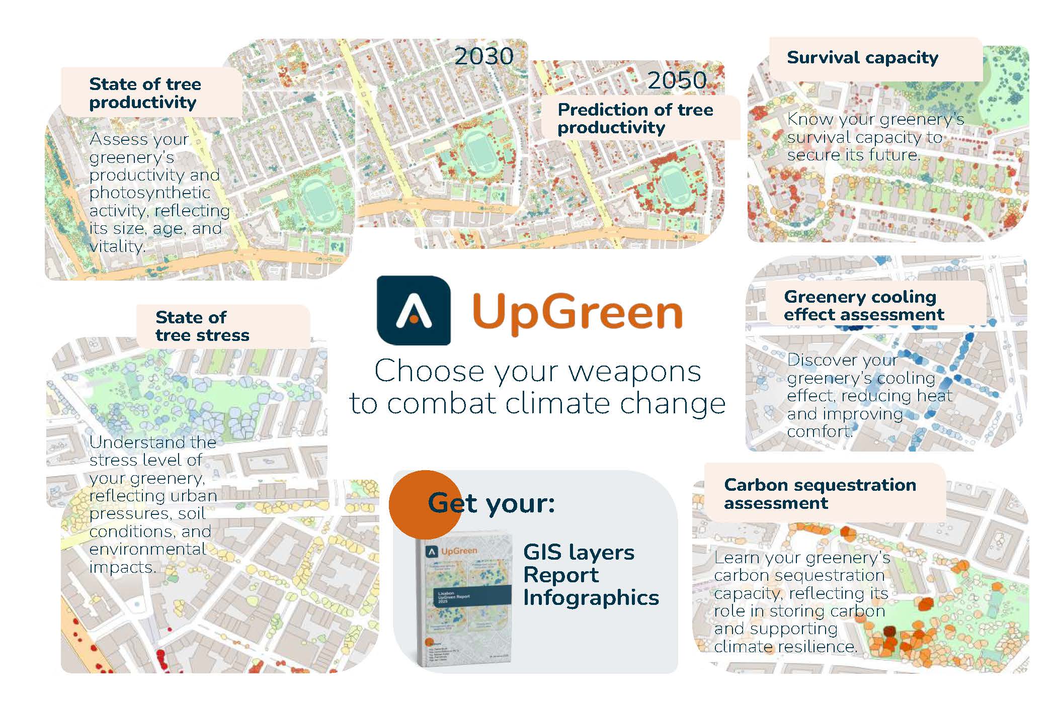 map carbon storage and assess tree health