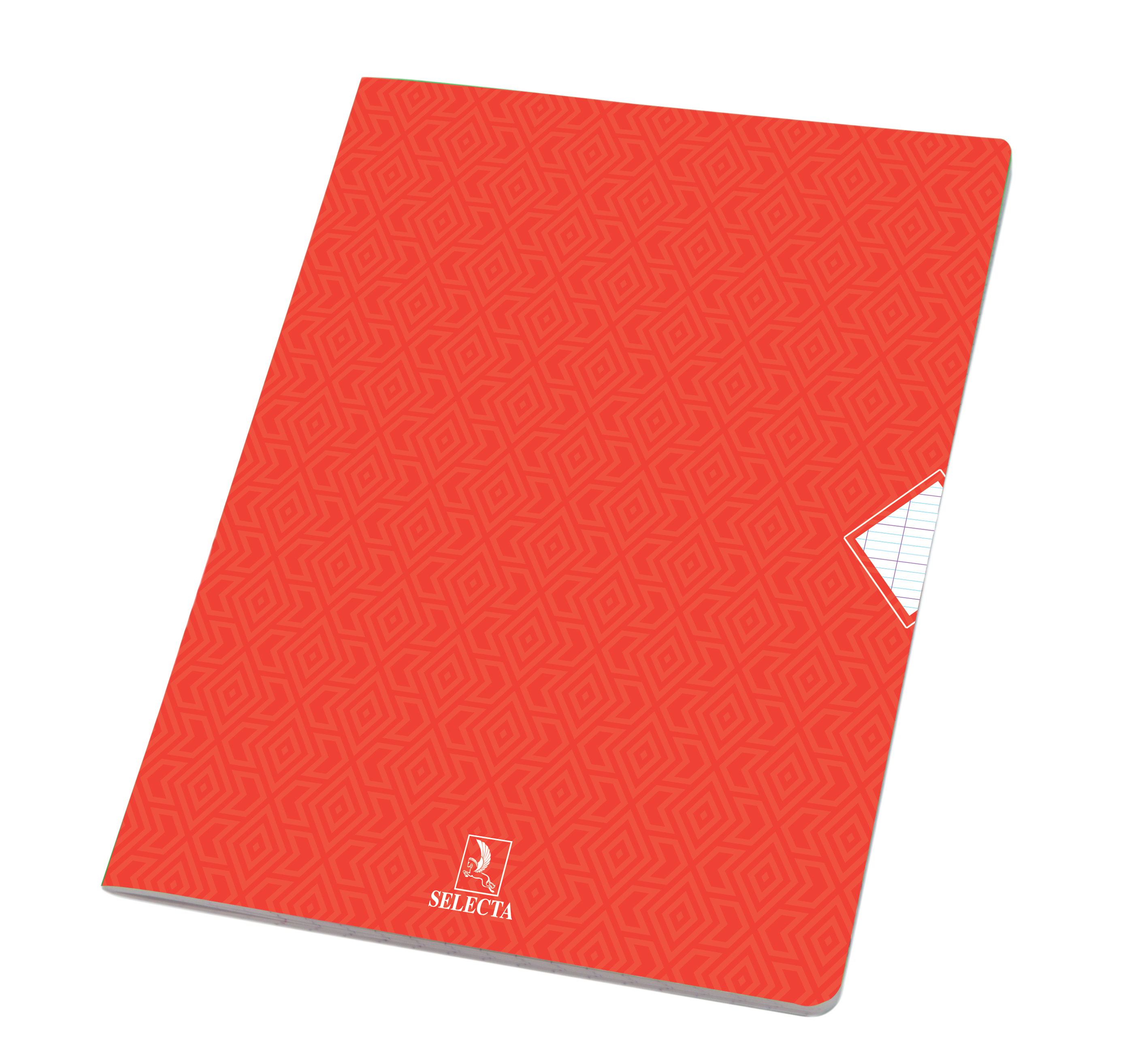 CAHIER PIQUE 60GR