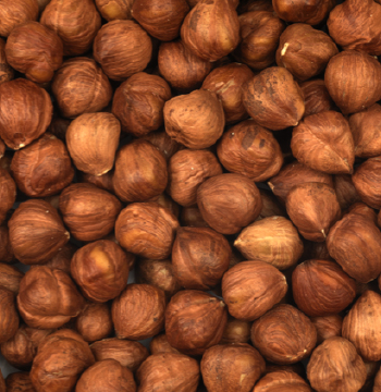 Natural Hazelnut Kernels