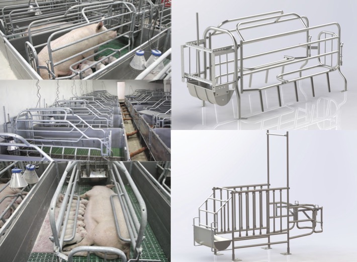 Equipment for pig farming: Equipment for the maintenance of sows and litters