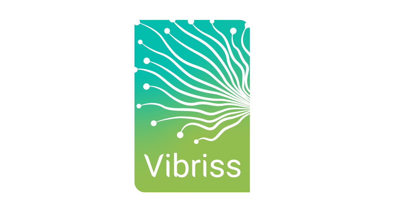 Vibriss