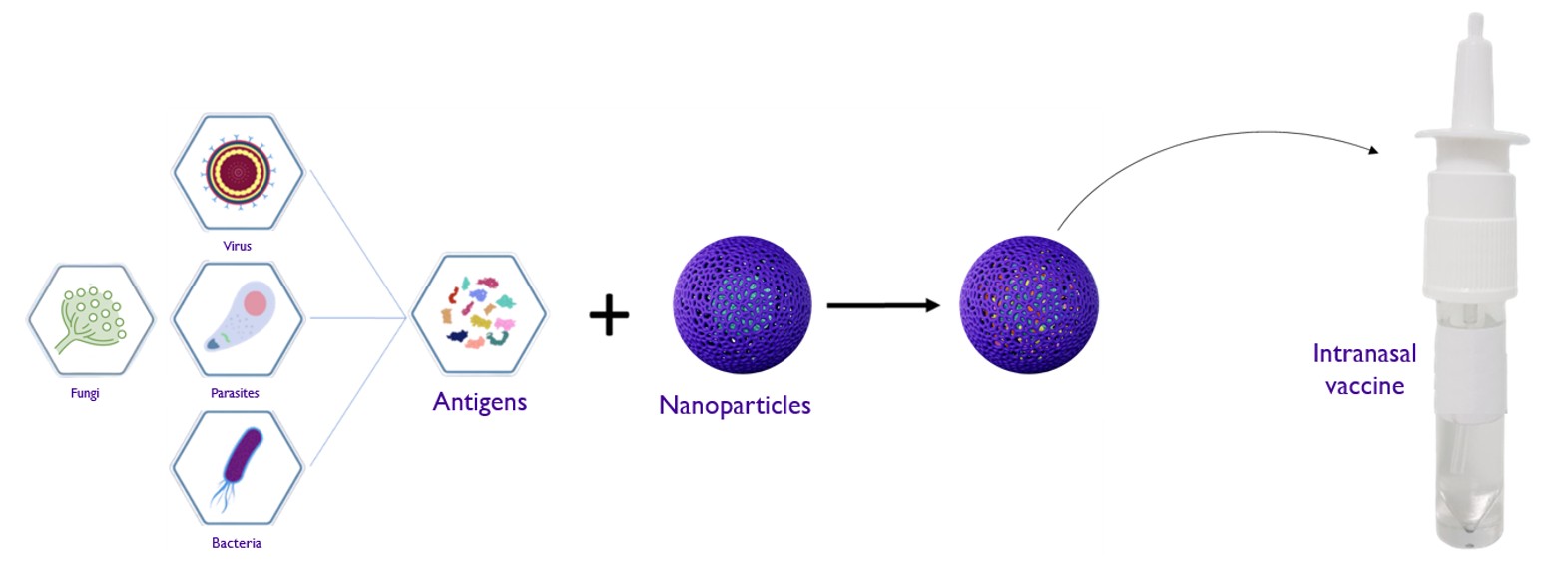 nasal antigen delivery system