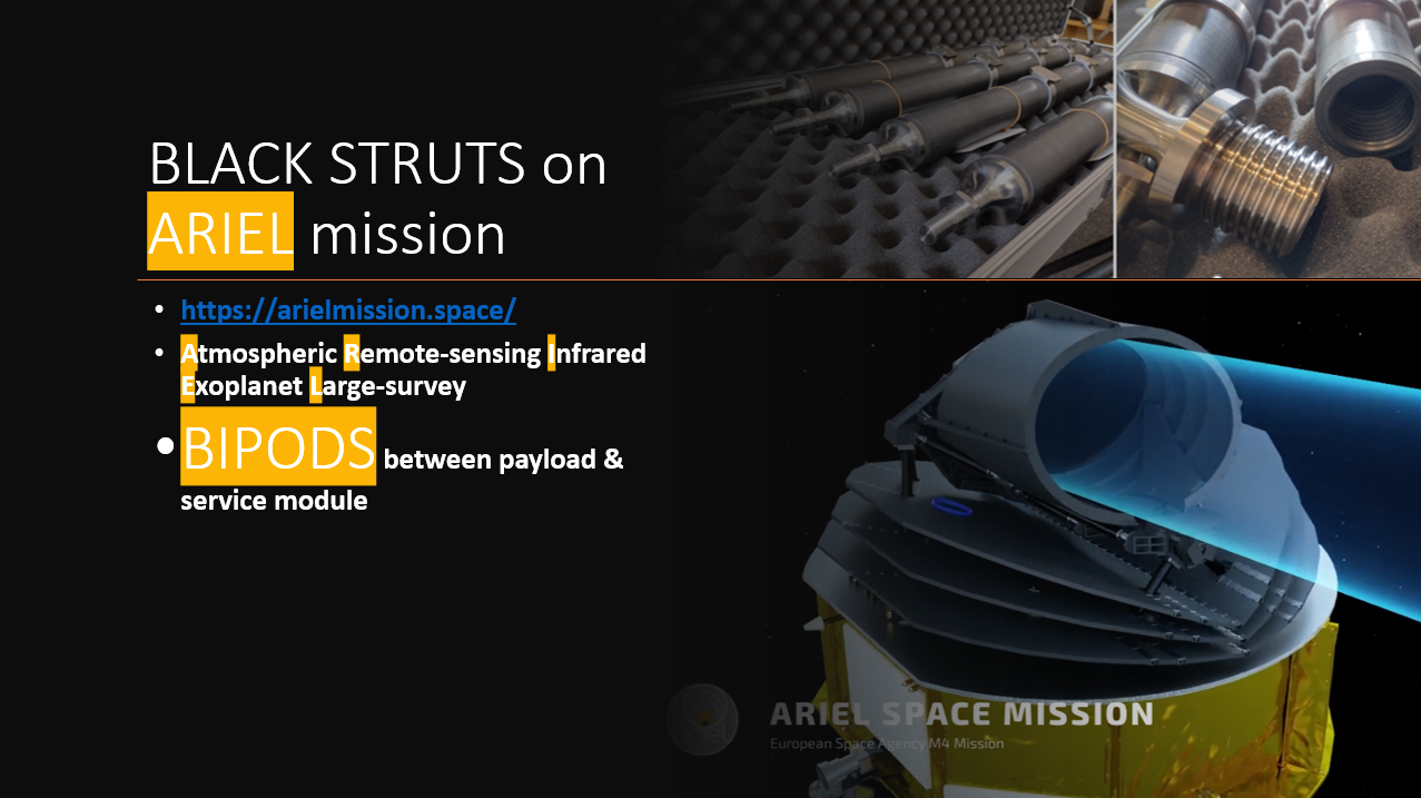 Black Struts in ARIELL PP.PNG