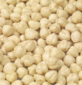 Blanched Hazelnut Kernels