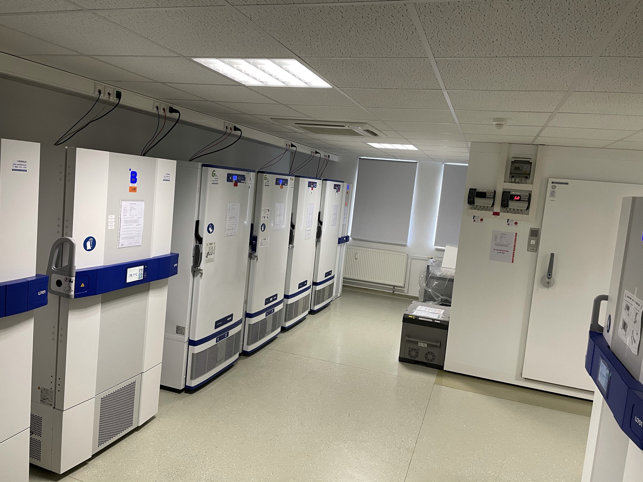 freezer -80°C storage