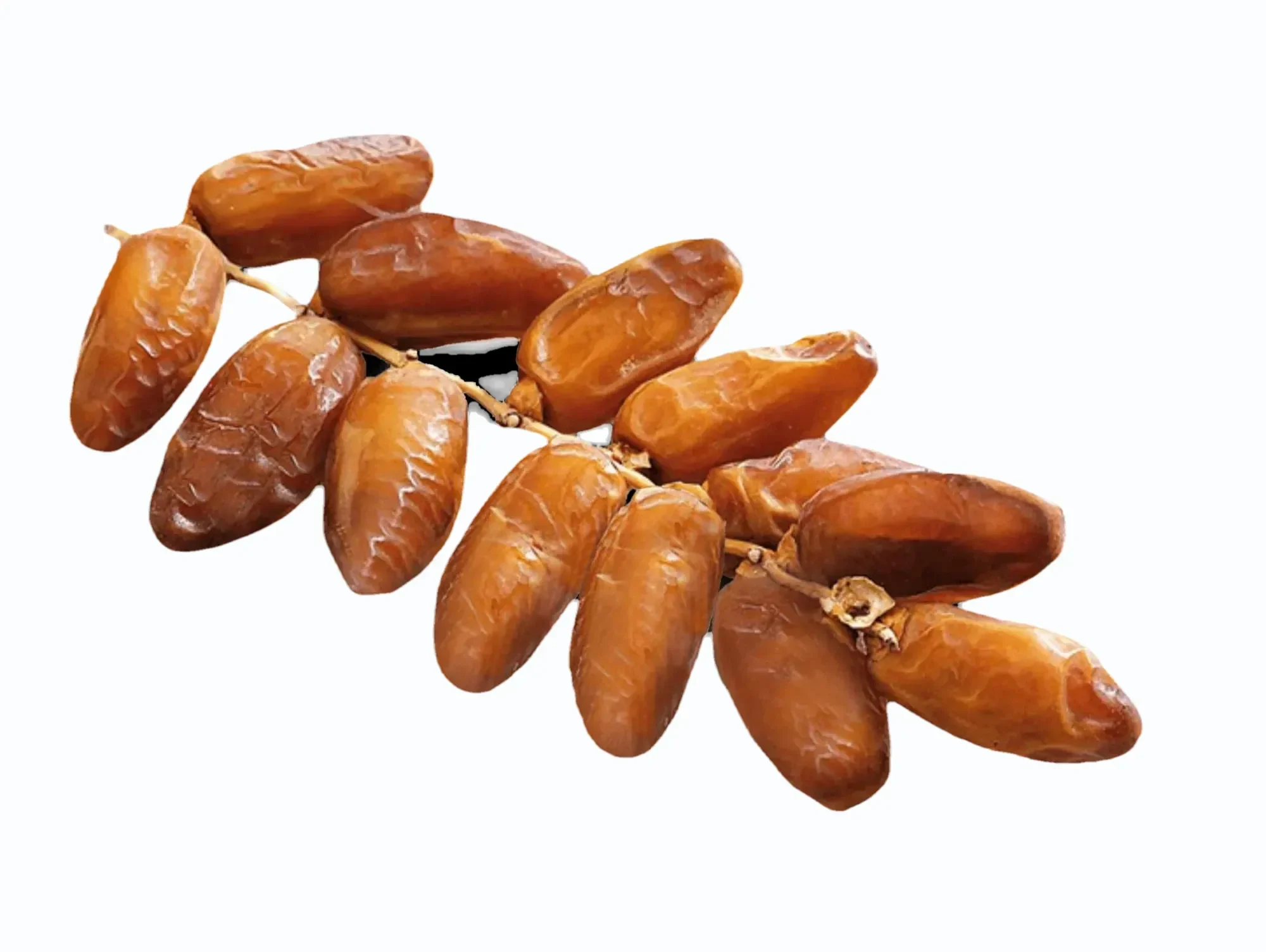 Branchée