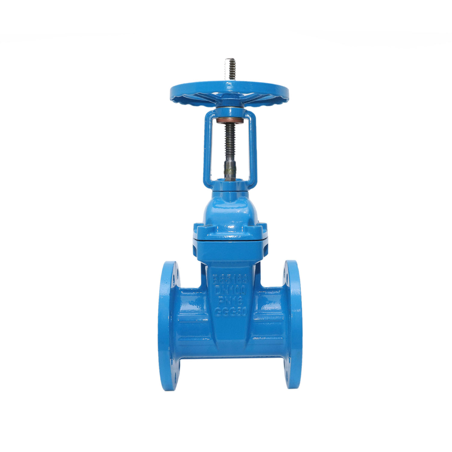 RISING RESILIENT SEAT GATE VALVE