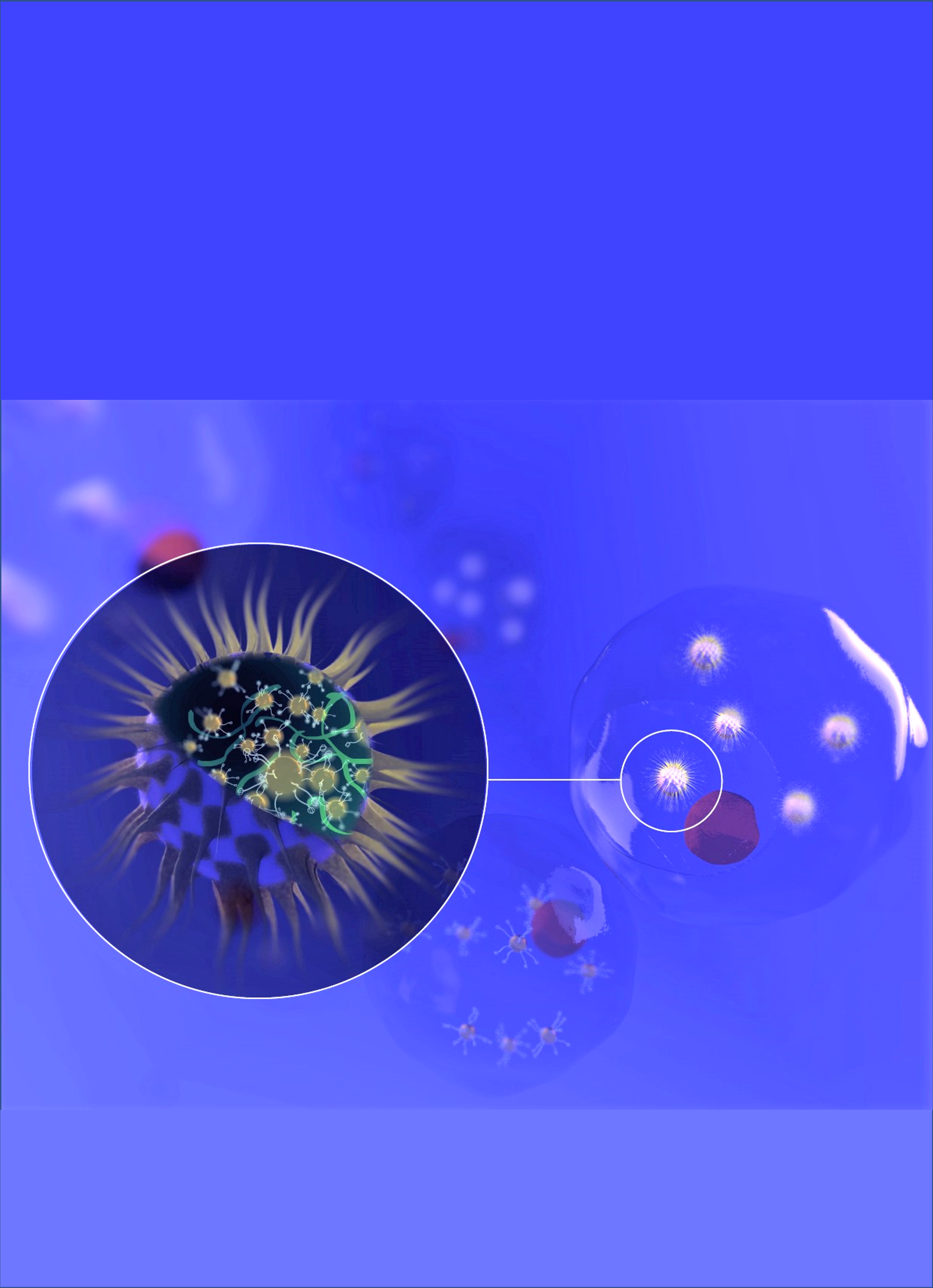 Innovative nanoplatform