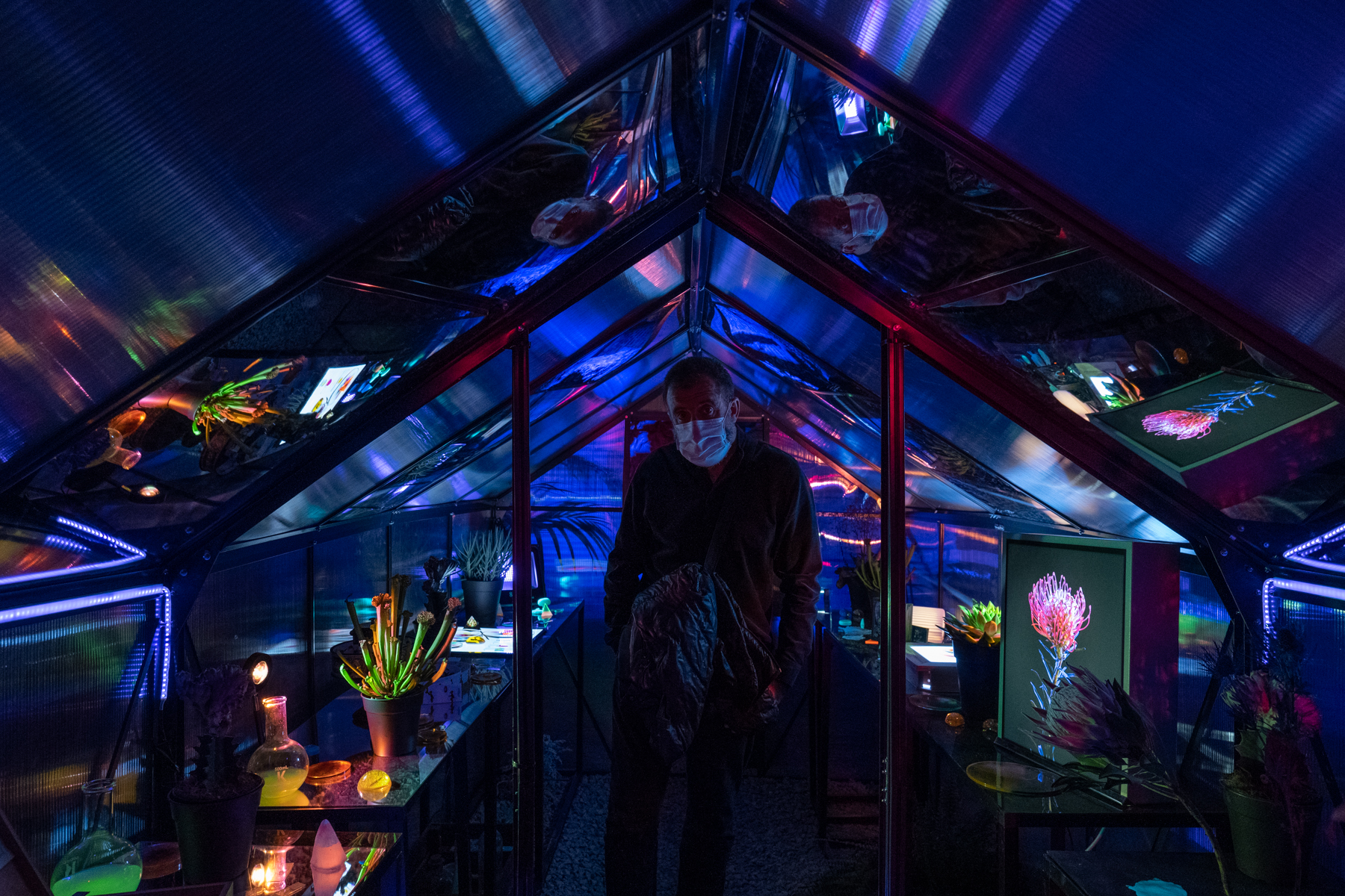 WUNDERKAMMER - immersive experience