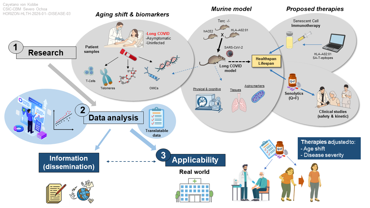 Graphical abstract_von Kobbe C.