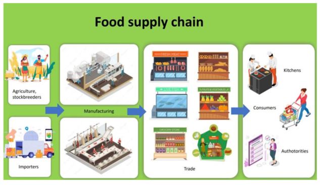 Food Supply Chain.jpg