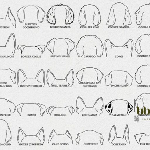 Custom Dog Ear Outline Embroidered Sweatshirt or Hoodie, Gifts for Dog Mom, Mother Day Gift