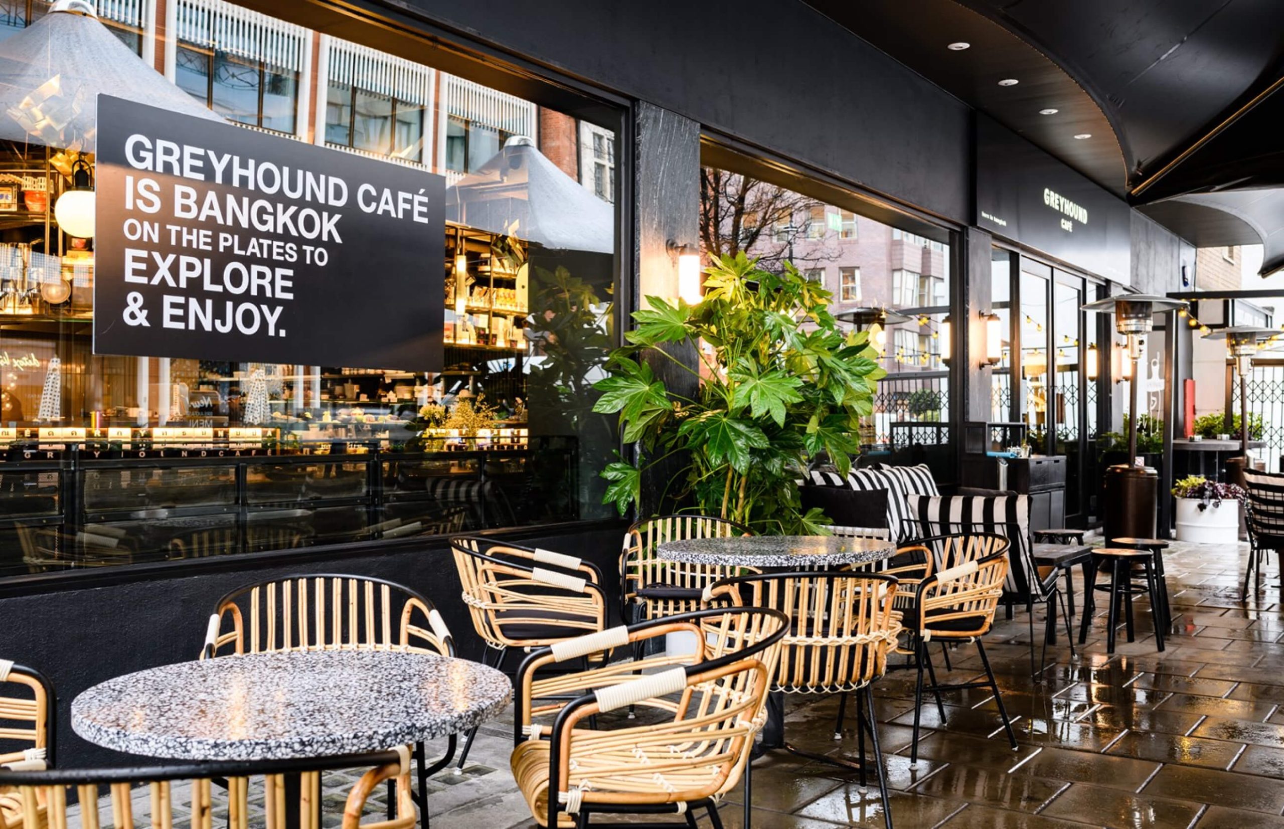 greyhound-interior-10