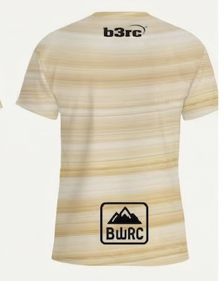 Earth Tones Training Tee back