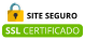 Site Seguro Google