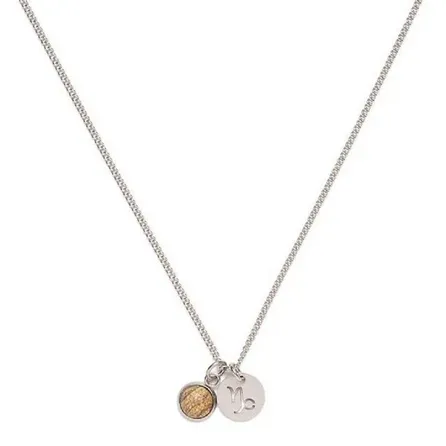 Colar de Aço Prata Key Design Signo Capricórnio – miniatura 1