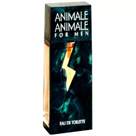 Perfume Masculino Animale Animale For Men EDT 100ml – miniatura 1
