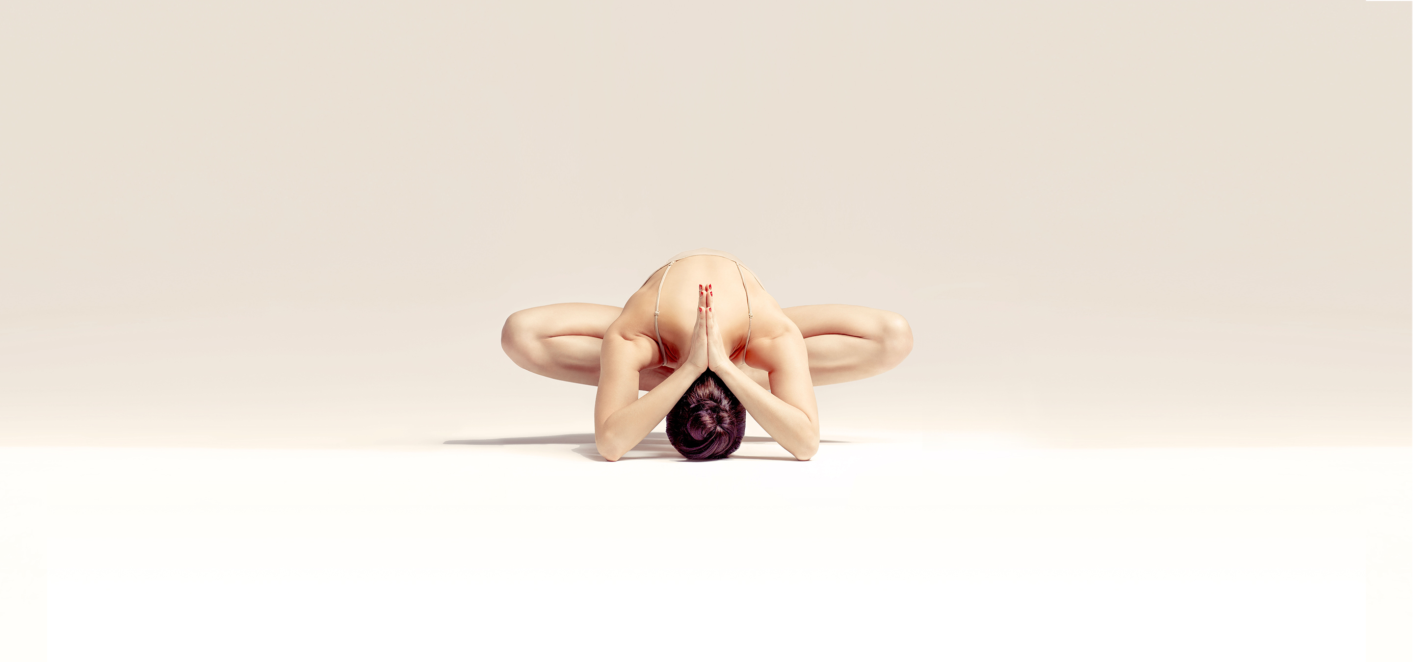 The Nest Wellness logo