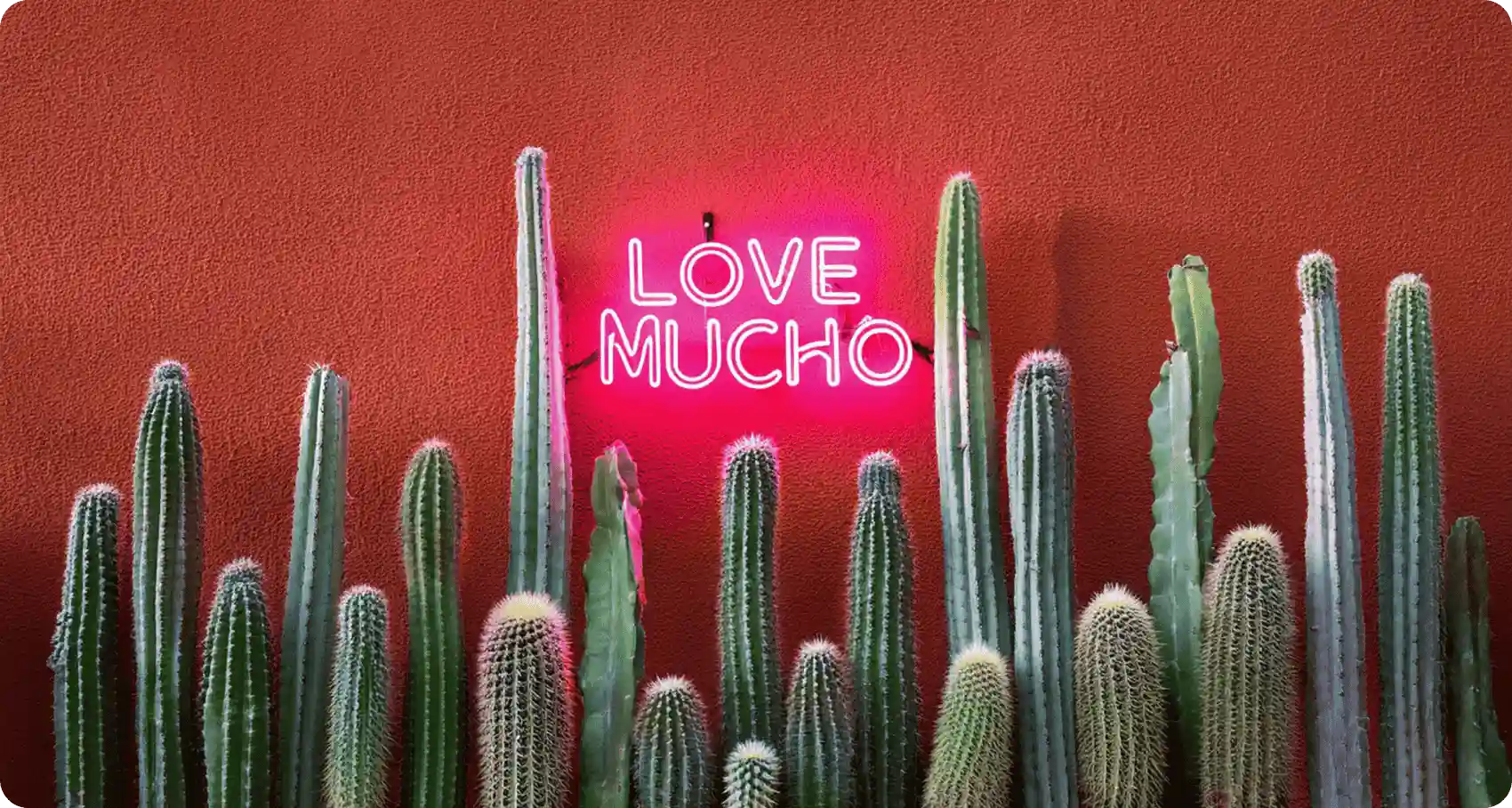 LOVE GREAT FOOD. LOVE YOURSELF.