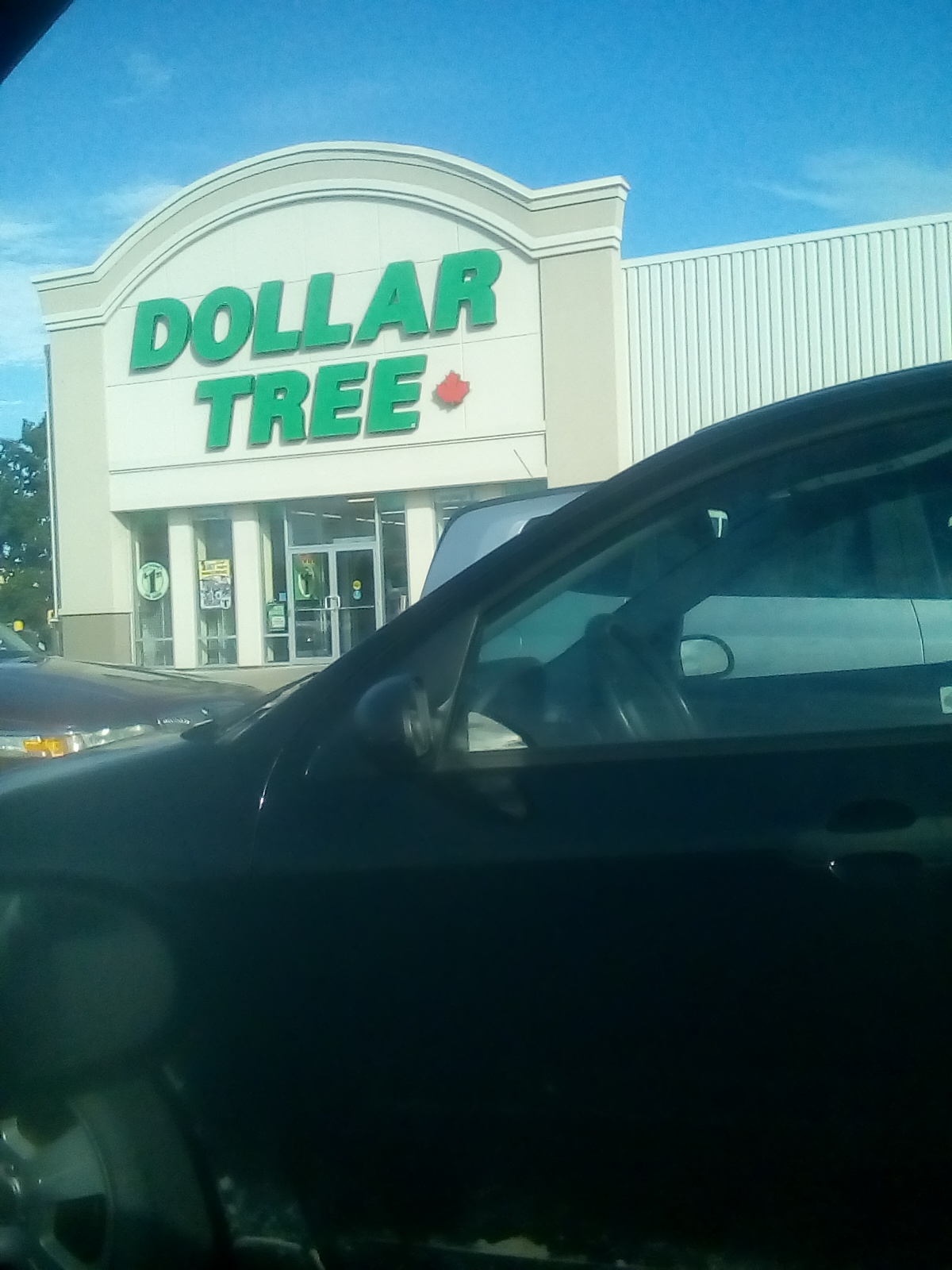 Dollar Tree
