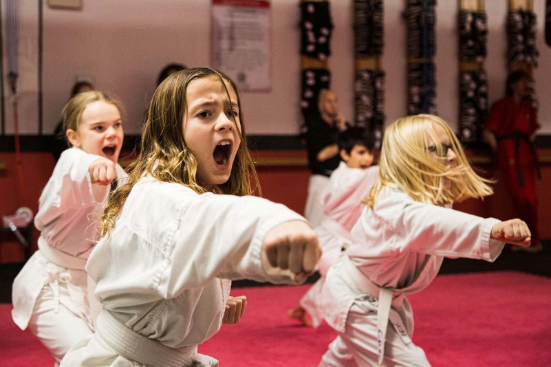 Douvris Martial Arts, Karate, Kickboxing - Kemptville logo