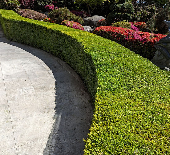 Silverman Property Services photo 1