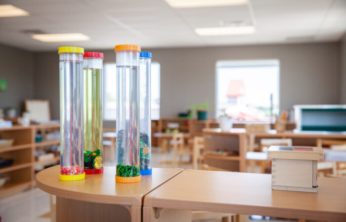 Madison Montessori Academy