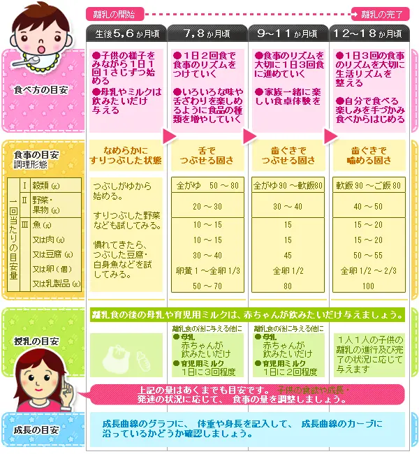 離乳食の進め方と授乳回数の目安（東京都福祉保健局）