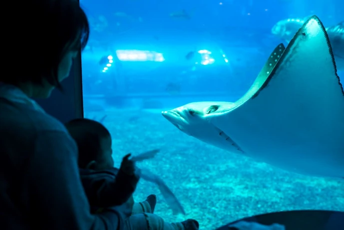 水族館での家族写真