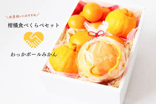 柑橘食べくらべセット