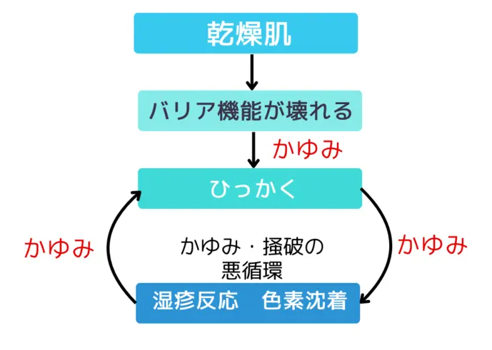 乾燥肌の痒みの連鎖