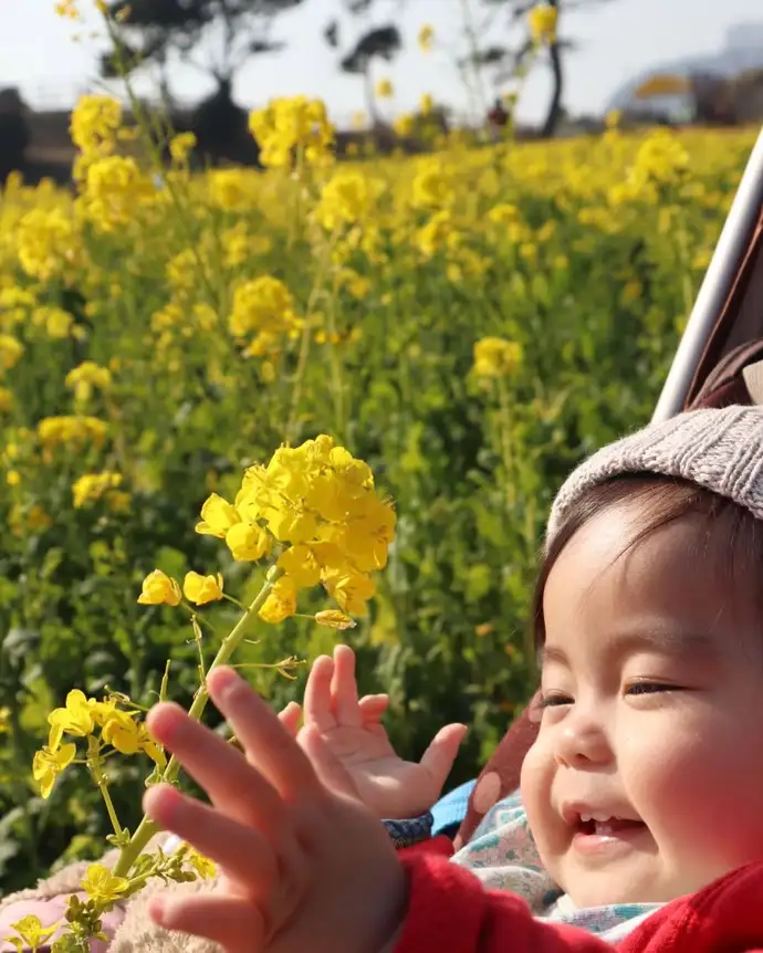 菜の花と赤ちゃん