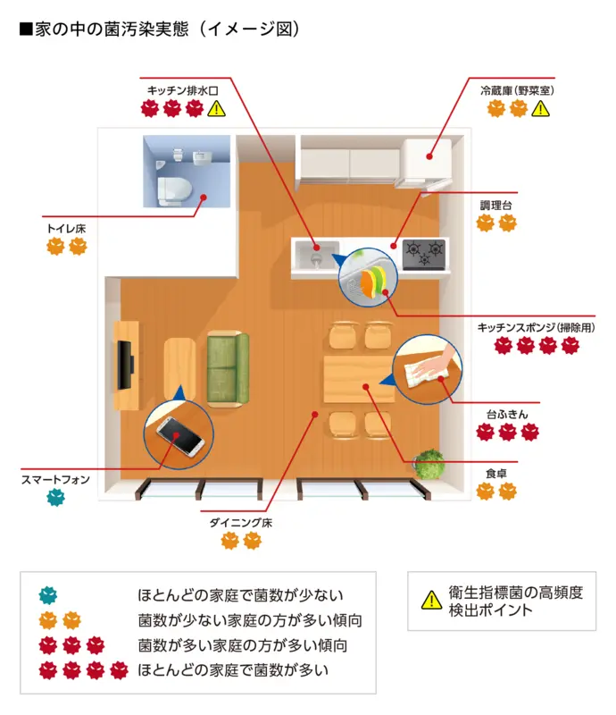 家の中の菌汚染の実態