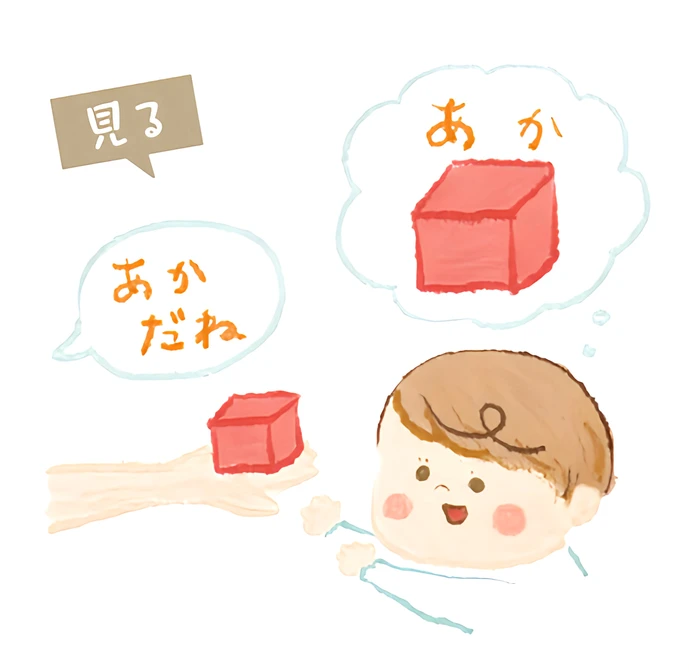 見る赤ちゃん