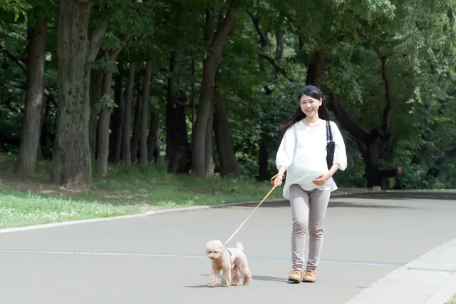 妊婦　ウォーキング