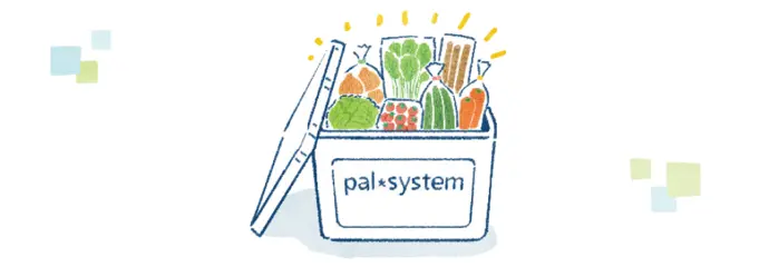 palsystem