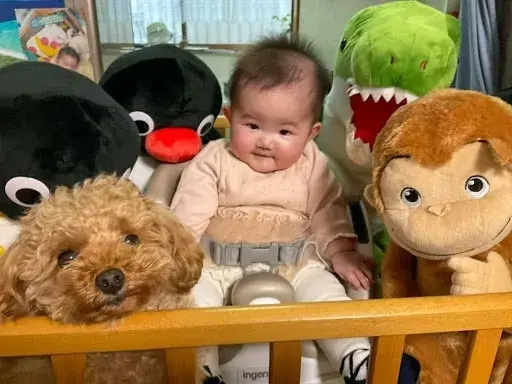 赤ちゃんと犬の同居生活で幸せ倍増 実体験から赤ちゃんと犬の同居をおすすめする理由