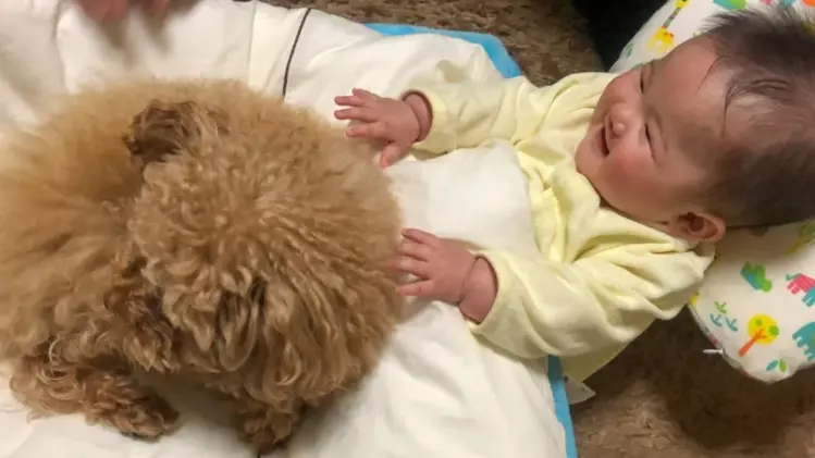 笑顔の赤ちゃんと犬